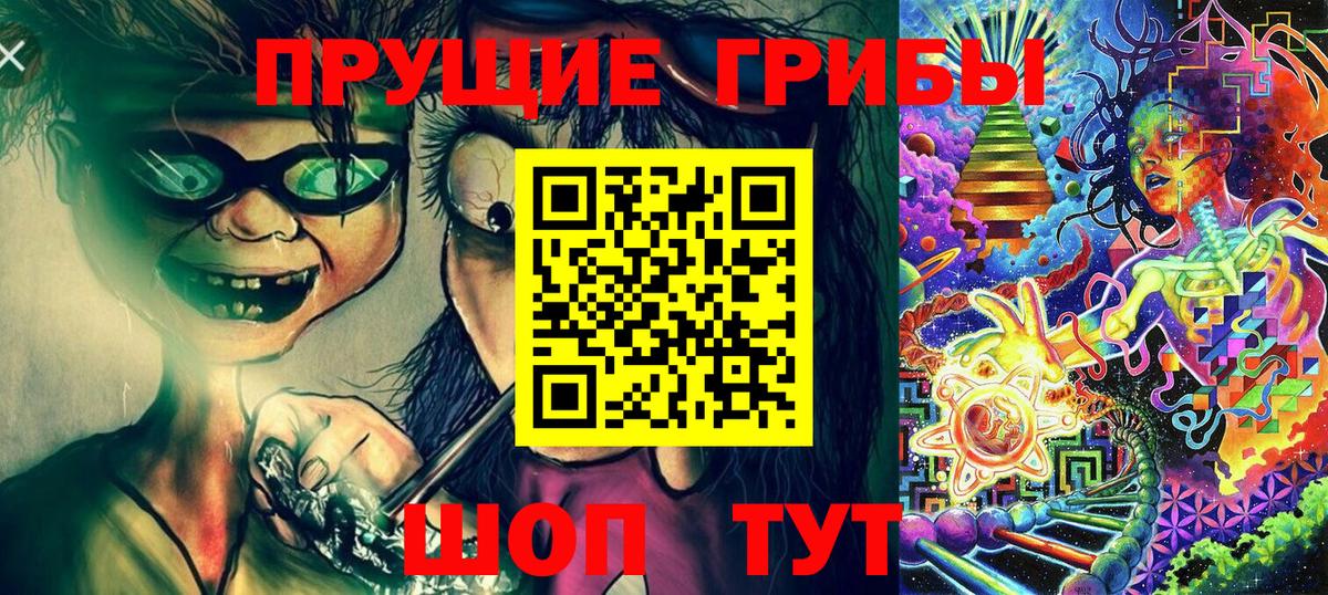 Псилоцибиновые грибы GOLDEN TEACHER  Псилоцибиновые грибы GOLDEN TEACHER  Вход с VPN  Кострома 