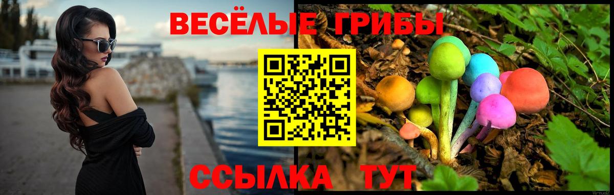Галлюциногенные грибы ЛСД Кострома